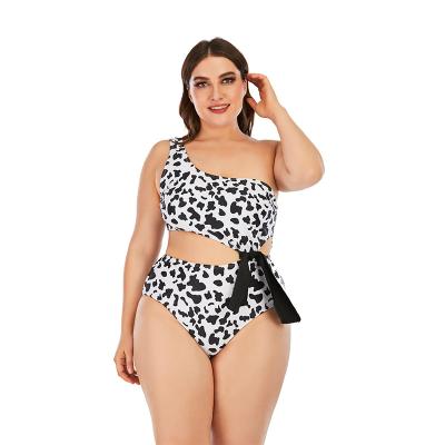 China Big plus size women's swimwear bikini plus size swimwear for sale