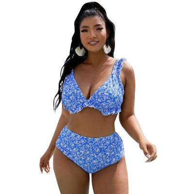 China Big plus size women's swimwear bikini plus size swimwear for sale