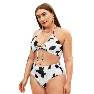 China Big plus size women's swimwear bikini plus size swimwear for sale