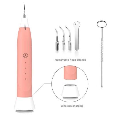 China CE Electric Ultrasonic Dental Plaque Tooth Remover Ultrasound Effectively Separate Toy Dog Visible Portable Ultrasonic Tooth Cleaner Sonic Oral for sale