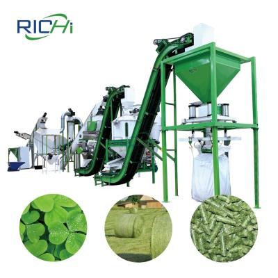 China Factory RICHI Multifunctional Alfalfa Grass Rice Husk Straw Hops Pelletizing Equipment On Sale for sale