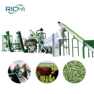 China Ring Die Pellet Machine Customized Capacity 1-40 t/h Hops Grass Pellet Line For Cattle Sheep Hores Pellet Feed for sale