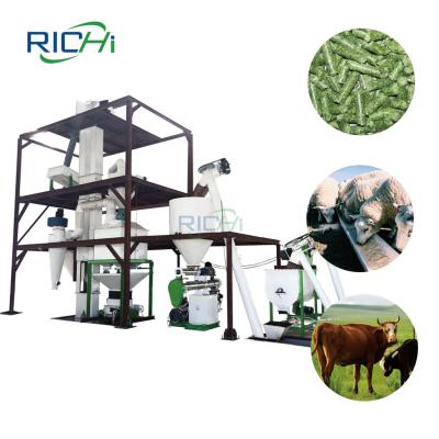 China RICHI New Design Grass Straw Long Lasting Corn Stalks Paddy Husk Pellet Plants For Animal Feed Pellet for sale