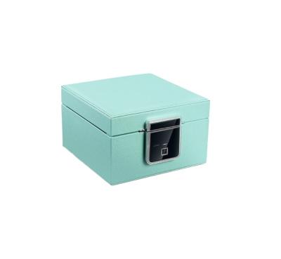 China Luxury Exquisite Art Storage Box Steel Jewelry Leather Jewelry Box Large Capacity Double-Layer Fingerprint Lock Jewelry Box Office Home Bank Hotel for sale