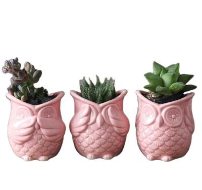 China Other Owl Flower Pot Set Of Small Creative Home And Garden Ceramic Green Planters Small Of 3 for sale