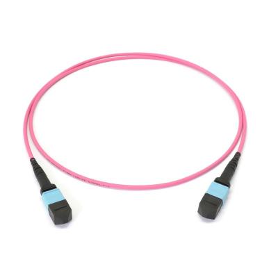 China Inside Fiber Optic MTP/MPO Trunk Cables 12 strand and 24 strand singlemode or 