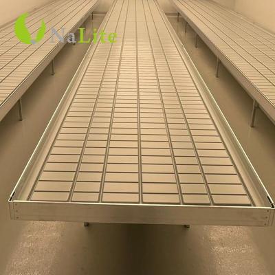 China Agricultural Hydroponic Greenhouse Nalite 2022 Rolling Bench and Nursery System Floods Table with ABS Tray for sale