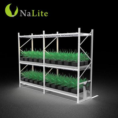 China Indoor Garden Hydroponic Greenhouse 4ftx8ft Multilevel Storage Vertical Grow Rack System for sale