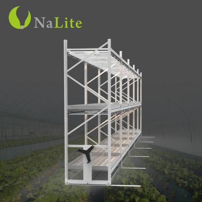 China 2022 Hydroponic Storage New Design Customized 4*8ft Hydroponic Adjustable Medicinal Plants Grow Racks For Indoor Hydroponics System for sale