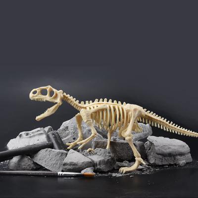 China Toys Dinosaur Fossilized Bones Archaeological Excavation Science Diy Toys Dinosaur Fossilized Bones for sale