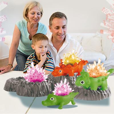 China Crystal Educational Dinosaur Toys Set Experiment Dinosaur Toys Science Crystal Science for sale