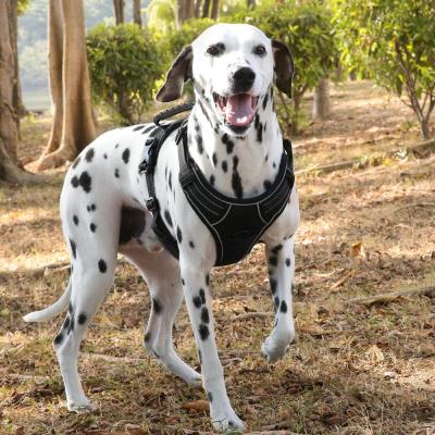 China DETACHED No Pulling Harness Custom Dog, Easy Walk Dog Nylon Pet Harness for Walking, Thoughtful Dog Harness for sale