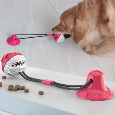 China Molar Chew Toys Multifunctional Pet Chew Toys Dog Rope Suction Cup Toys Dog Toothbrush Dog Toothbrush Chew Toys for sale