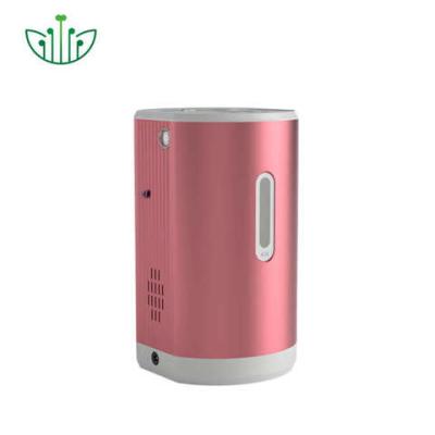 China Hydrogen Inhalation Machine Increased Immunity Portable Home Use 150ml 225ml WEIZI for sale