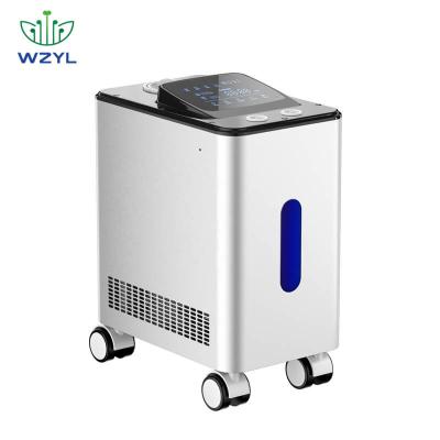 China 100ml 300ml Hydrogen Machine 900ml Hydrogen Generator 1000ml with H2 and O2 WEIZI for sale