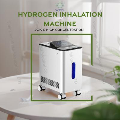 China 900ml/Min Molecular Hydrogen Inhalation Machine Nursing Home Application WEIZI for sale