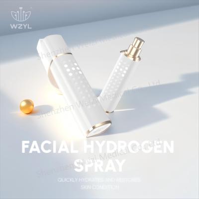 China Nano hidrogênio facial spray WEIZI com corpo de PC de qualidade alimentar à venda