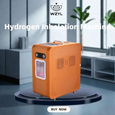 China Large Flow Hydrogen-absorbing Machine Anti-inflammatory 3000ml WEIZI Frequency 50Hz Flow 2000ML H2 1000ML O2 for sale