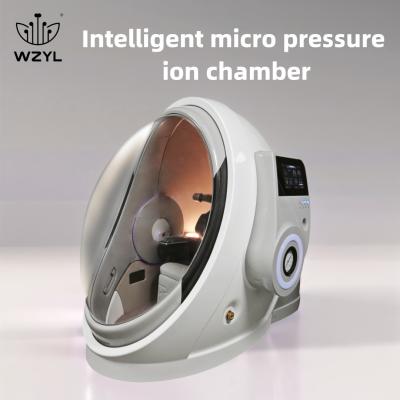 China Intelligent Micro Pressure Ion Chamber 1.3ATA Anti-aging Antioxidant WEIZI for sale