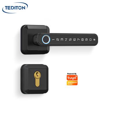 China Tediton Wifi Remote Aluminum Alloy Fingerprint Sensor Wooden Handle Electronic Locks Mobile Phone Door Smart Door Lock for sale