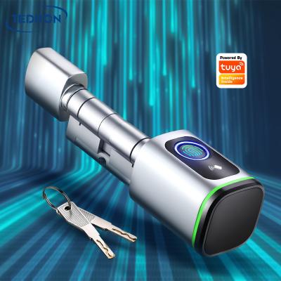 China Aluminum alloy+Pure brass+SUS304 Tediton Digital biometric fingerprint smart cylinder lock with IC card mechanical key for sale