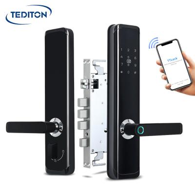 China TEDITON Office Smart Home Wifi Biometric Fingerprint Door Lock for Hotel Apartment Office Building for sale