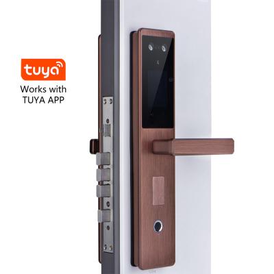 China Zigbee Tuya APP Password Smart Home Fingerprint Face Recognition Smart Door Lock With Tuya APP for sale