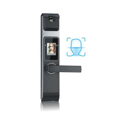 China Zinc Alloy Keypad Face Recognition Digital Security Tediton Smart Door Lock for sale