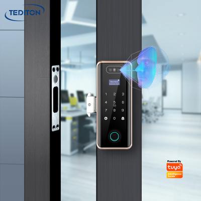 China Face 50 Face Recognition Remote Control Fingerprint 100 Card+Password 250 Tediton Security Touch Screen Digital Glass Door Lock for sale