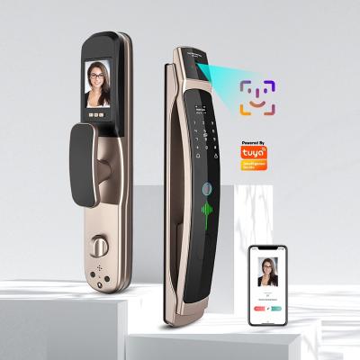 China Tediton Smart Home Aluminum Alloy Wifi Auto Fingerprint Smart Home 3D Face Recognition Door Lock for sale