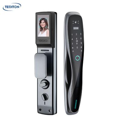 China Aluminum Alloy Tediton Security Alarm Full Automatic Doorbell Electronic Smart Lock with Camera and Audio for sale