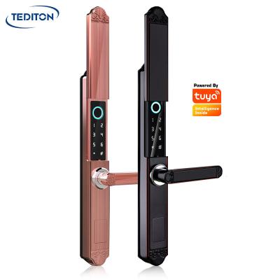 China Tediton Wifi Luxury Zinc Alloy Waterproof Door Lock Tuya Electronic Aluminum Sliding Smart Lock for sale