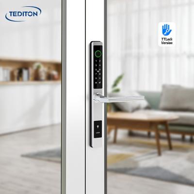 China Aluminum Alloy Tediton Fingerprint Keyless Electronic Smart Sliding Aluminum Door Lock With Europe 3485/4585 Mortise for sale