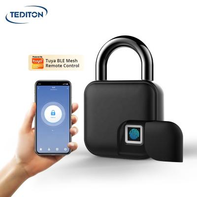 China Hot Selling Tediton 2022 Digital Fingerprint Smart Alarm Zinc Alloy APP Biometric Security Lock for sale