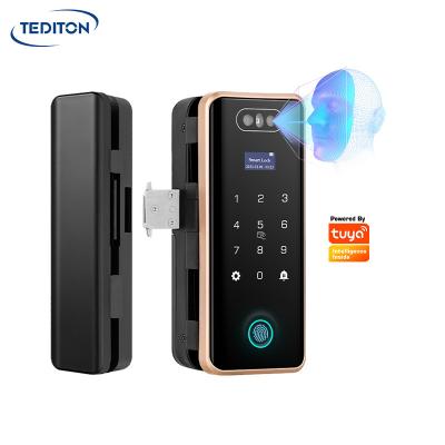 China Anti-theft 3D Face ID Door Lock Smart Home APP Face Recognition Glass Door Lock Fingerprint 100 Card+Password 250 Tediton Face 50/ for sale