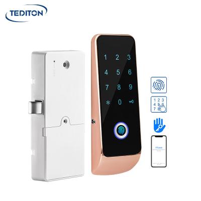 China Tediton Zinc Alloy Security Rfid Locker Lock Fingerprint Electronic Cabinet Lock for Drawer Gym Saunna for sale