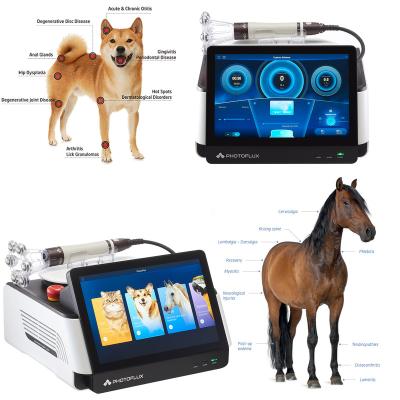 China Irradiation Phomed Vet Laser / Laser for Veterinary and Veterinary wound heating and tendon problem for sale