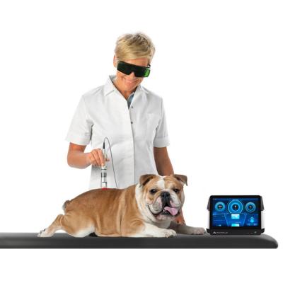 China Irradiation Phomed laser Low level therapy veterinary laser for pain relief and healing in pets and larger animals for sale