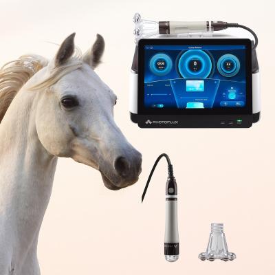 China Irradiation Veterinary Laser Therapy Equipment Horses Therapy Pain Relief And Tendon Pain for sale