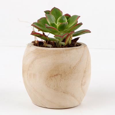 China Round Pastoral Decorative Wood Indoor Planters Plant Pots Table Pots, Decor Home and Hotel Room and Garden Natural Wood for sale