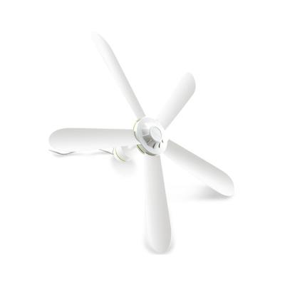 China Hotel Fancy Ceiling Power Source Plastic Blades Fan Large Ceiling Fan for sale