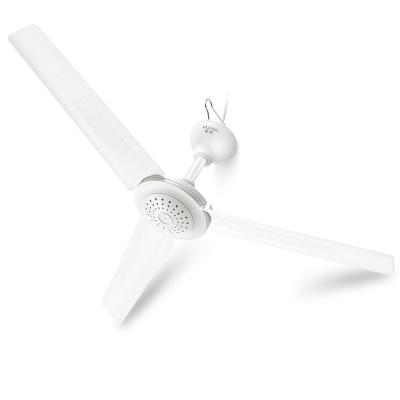 China Designer Modern Simple Fancy Modern Electric Luxury Ceiling Fan for sale