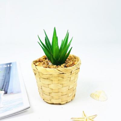 China Modern Customized Artificial Plant Decoration For Home for sale