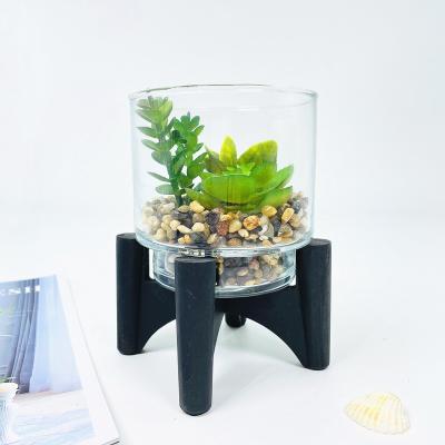 China Modern clear vase mini greenhouse plant pot home decoration for sale