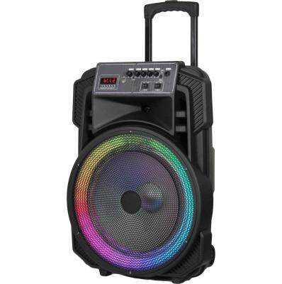 China OEM Wholesale LED Flashing Light 15 Inch Party Portable Rechargeable BT Professional Outdoor Powered Wireless Speaker for sale