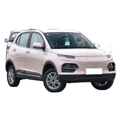 China Electric SUV Dayun Yuehu Left and Right Rudder Electric Vehicle for Energy Vehicles for sale