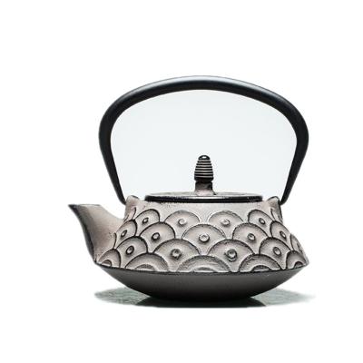 China Sustainable Water Kettles Cast Iron Teapot Japanese Stainless Steel Filter Teapot for sale