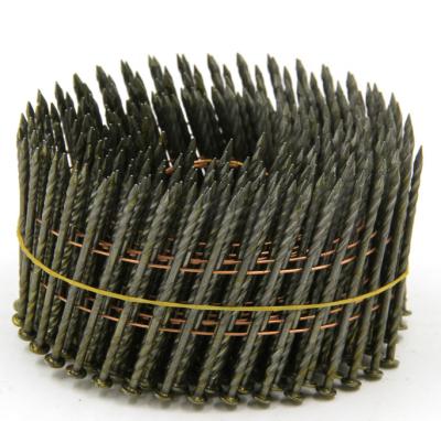 China Flat Wire coil nails painted EG poished surface screw shank ring shank axe shank nails for sale