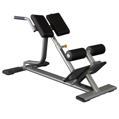 China Commercial Strength Multi Functional Indoor Training Chair Roman Bench Extension Back Bench for sale