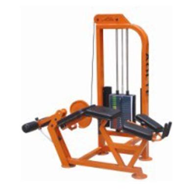 China Easy Operation Classic Ergonomic Design And Wholesale Leg Exercise Machine for sale